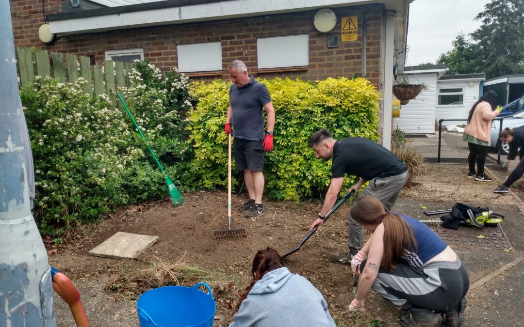 Gardening Fun for Volunteers